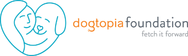 Dogtopia Foundation - Fetch It Forward